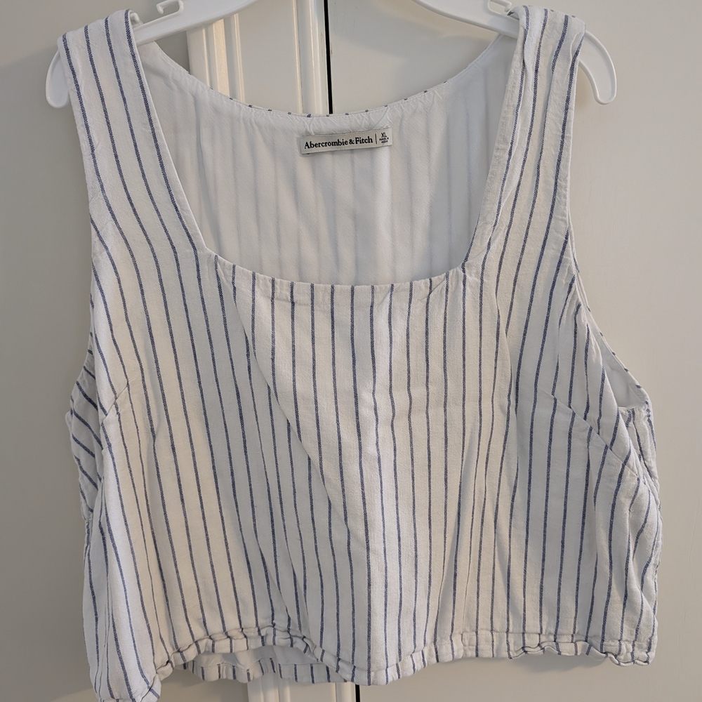 Abercrombie & Fitch White and Blue Striped Crop Top